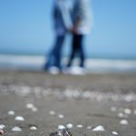 آتلیه دیدنو