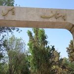 سرویس بهداشتی بوستان یاس