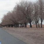 روستای قناتغستان