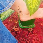 سلان زیبایی و آکادمی تخصصی دمور