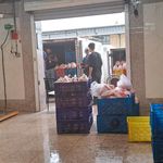 محصولات گوشتی رحمانی