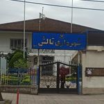 شهرداری تالش