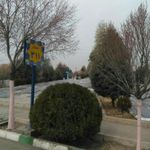 قطعه 311 بهشت زهرا
