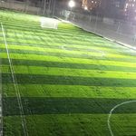 زمین چمن مصنوعی نیکان