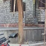 سرویس بهداشتی