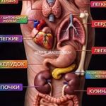 مشاورطب‌طبیعی‌ماساژانرژی‌تراپیست‌هوطب