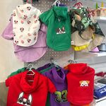 کلینیک دامپزشکی رنیسا