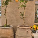 طراحی و تولید محصولات دکوراتیو /کاربردی