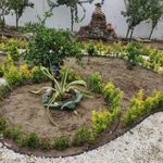 خدمات باغبانی هرس کاری گلکاری سمپاشی