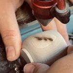 کارگاه چوب سحر