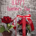 شکلات دستساز فریتا