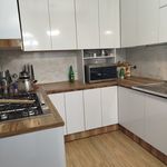 صنایع چوب افشار