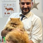 کلینیک دامپزشکی دکتر حمید داودی نیا