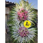 گل فروشی اینترنتی آمازون (شهرک غرب)