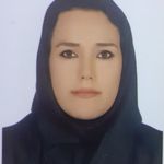 وکیل نیلوفر تجربه کار