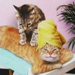 ماساژ و پاکسازی پوست آرامش (ویژه بانوان)