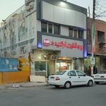پروتئین ارکیده