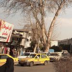 نان شیرمال بابل