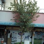 فروشگاه نوبهار
