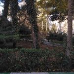 بوستان سایه