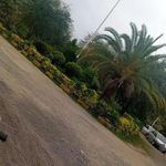 پارک گلستان