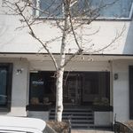 تامین سرمایه لوتوس پارسیان