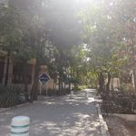 بوستان سایه