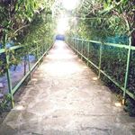 پارک توحید رشت