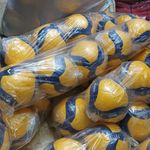 انبار پخش توپ مشهد