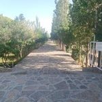 اردوگاه دانش آموزی ملاصدرا