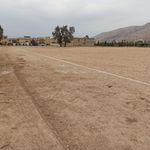 سالن ورزشی امام علی