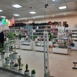 فروشگاه شادی