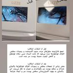 خدمات فیشال پاکسازی/اسکالپ اسکراپ ماهرخ