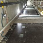 محمد فرد خنفچه