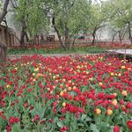 دفتر شهرک ویلایی انا