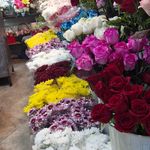 گلفروشی گل مریم