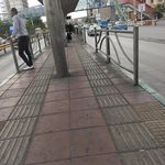 ایستگاه اتوبوس مدرسه درختی
