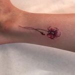 مرکز آرایش دائم طیبه فرخی