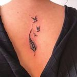 مرکز آرایش دائم طیبه فرخی