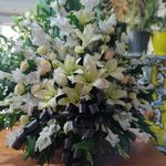 گلفروشی سی تو (ارسال رایگان)