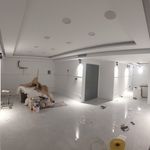 امیر حسین تیمار