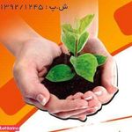 کلینیک ترک اعتیاد شادآرام