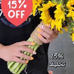 باشگاه ورزشی گلایل مرزداران تخفیف ۱۵٪