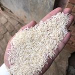 بازرگانی برنج داخلی و خارجی شمرونی