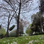 پارک سرای مهر