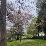 پارک سرای مهر