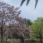 پارک سرای مهر