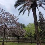 پارک سرای مهر