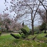 پارک سرای مهر