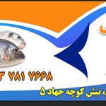 پروتئین مرغ ماهی راشگو